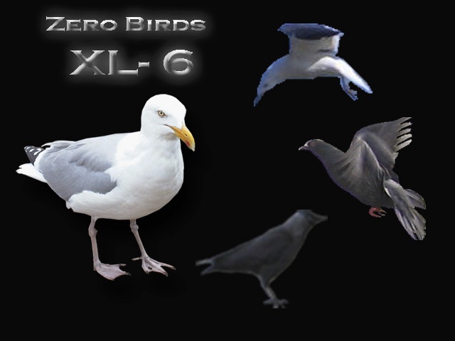0-birds XL 6 birds